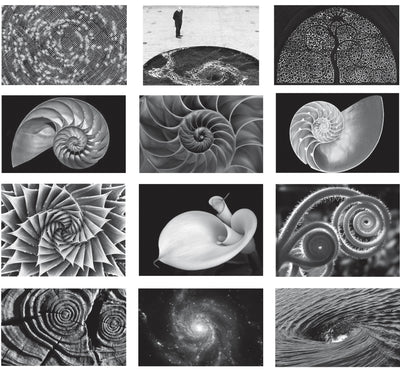 The Spiral: A Key to the Riddle of Existence, Design and Creation