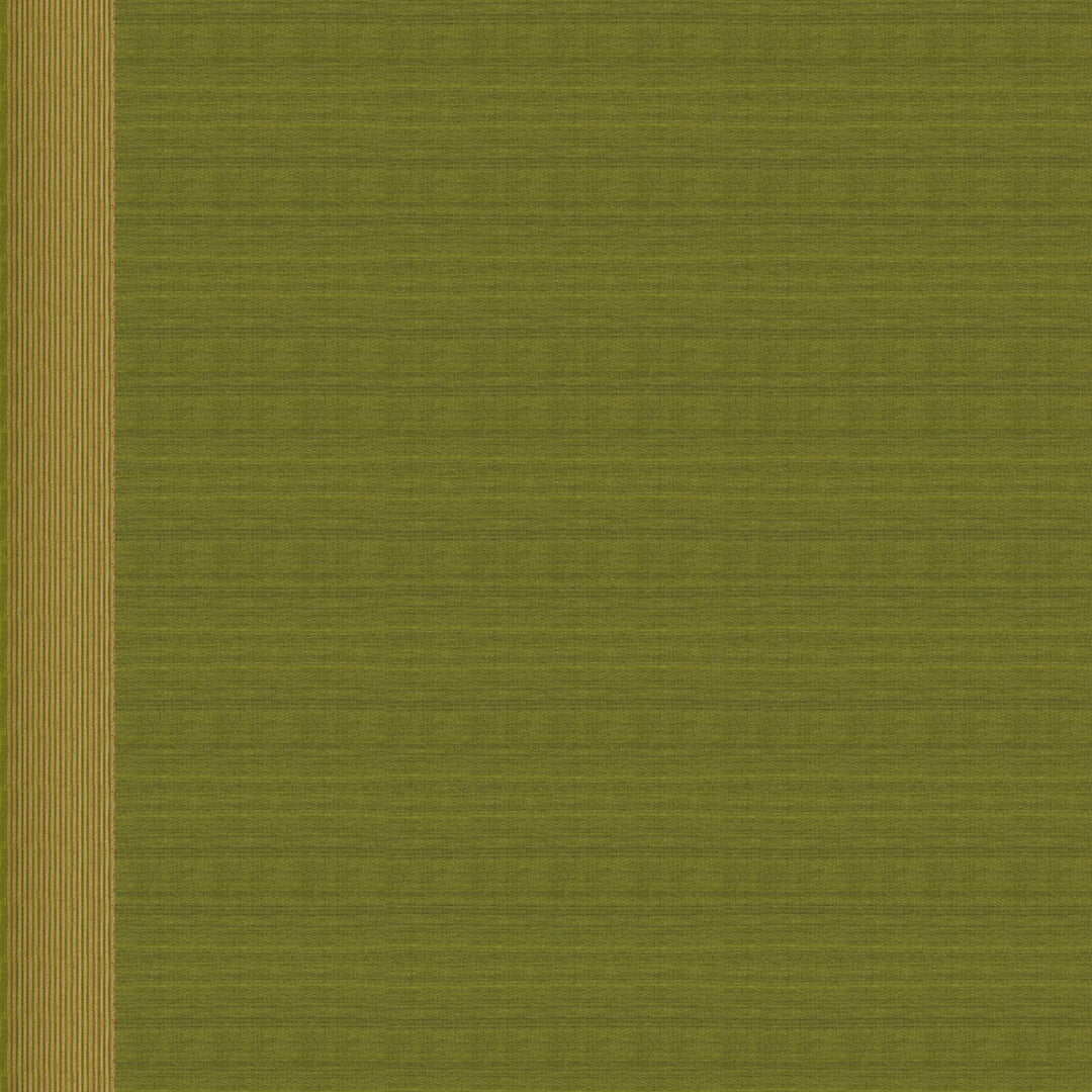 Handwoven Green Silk Cotton Saree - 2425T011300DSC