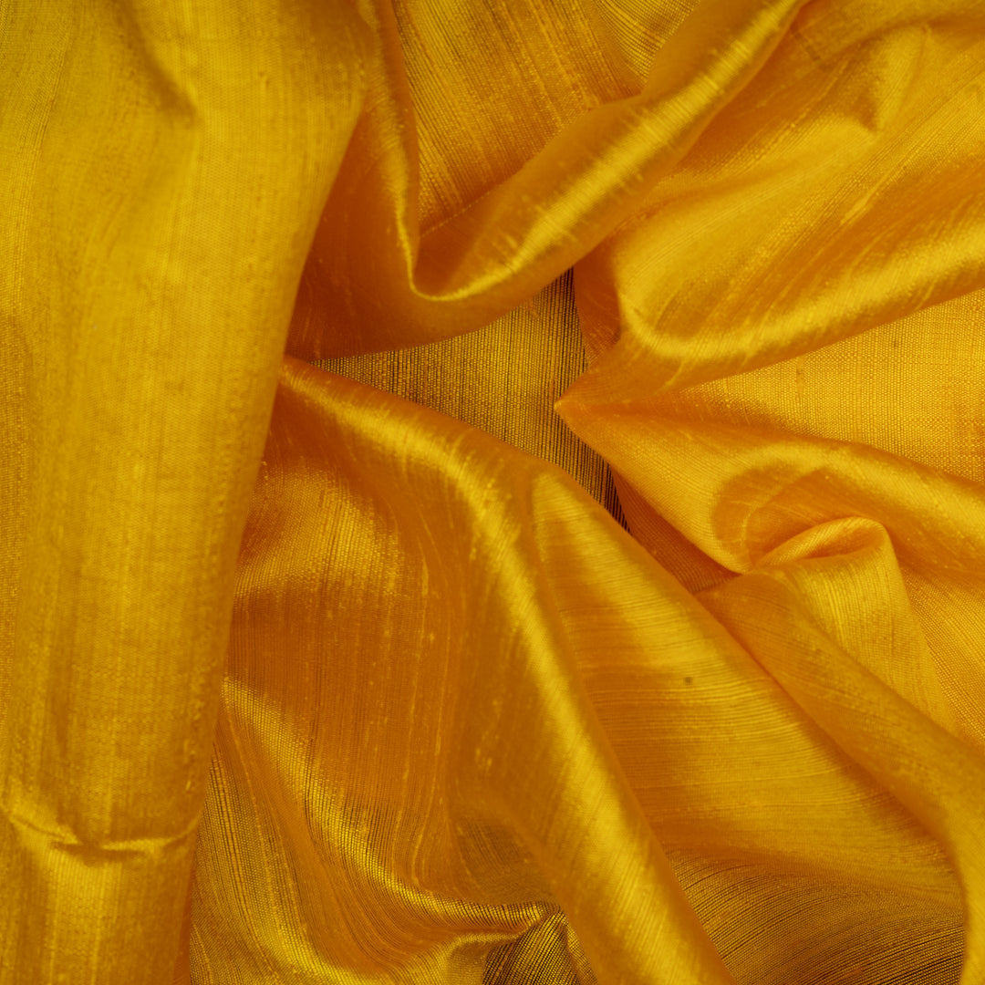 Handwoven Dupion Soft Silk Saree - 2496T012526DSC