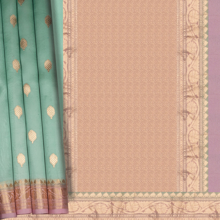 Handwoven Blue with Pink Banarasi Organza Silk Saree - 2598N030551DSC