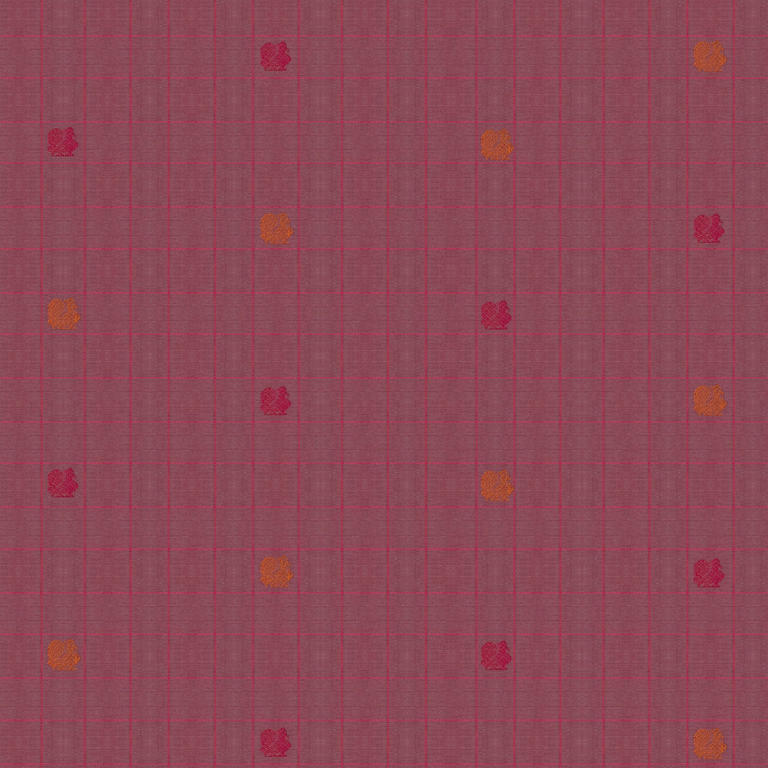 Handwoven Pink with Red Kanjivaram Cotton Saree - 2717T013304DSC
