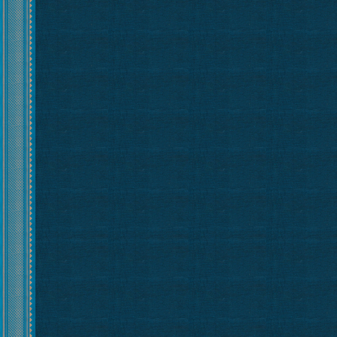 Handwoven Black with Blue Kanjivaram Cotton Saree - 2723T013325DSC