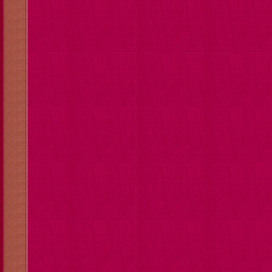 Blouse of Handwoven Pochampally Ikat silk Saree 