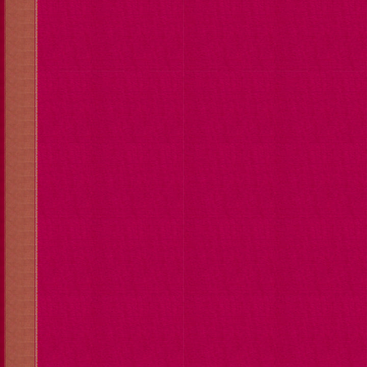 Blouse of Handwoven Pochampally Ikat silk Saree 