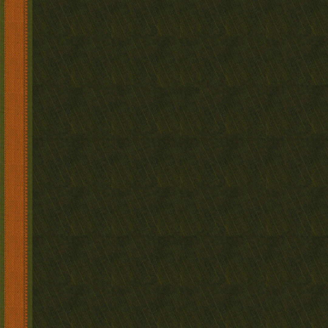 Handwoven Green Kanjivaram Cotton Saree - 2749T013314DSC