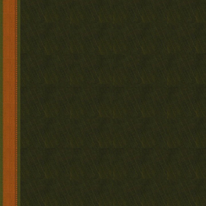 Handwoven Green Kanjivaram Cotton Saree - 2749T013314DSC