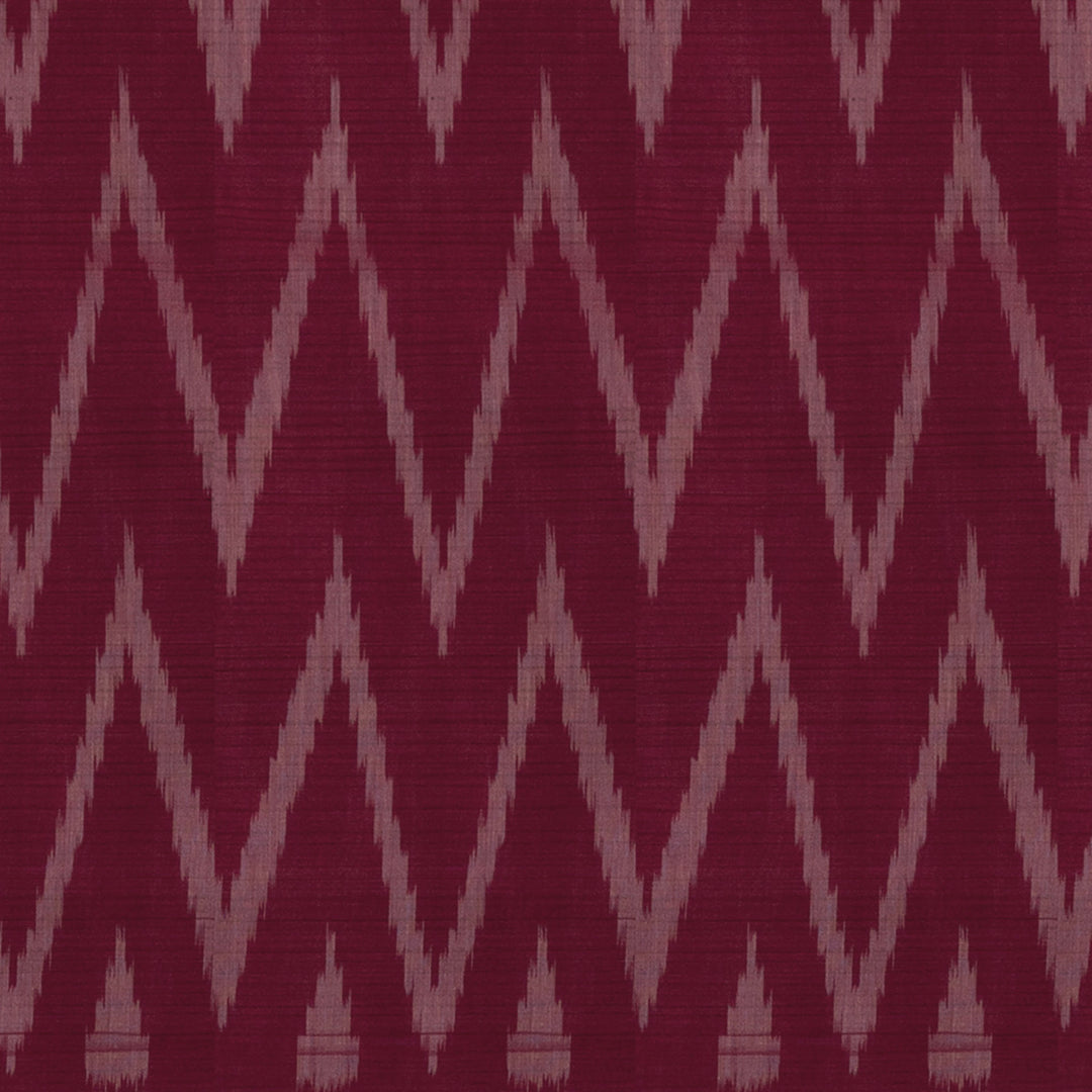 Body design of Handwoven Cotton Ikat Saree
