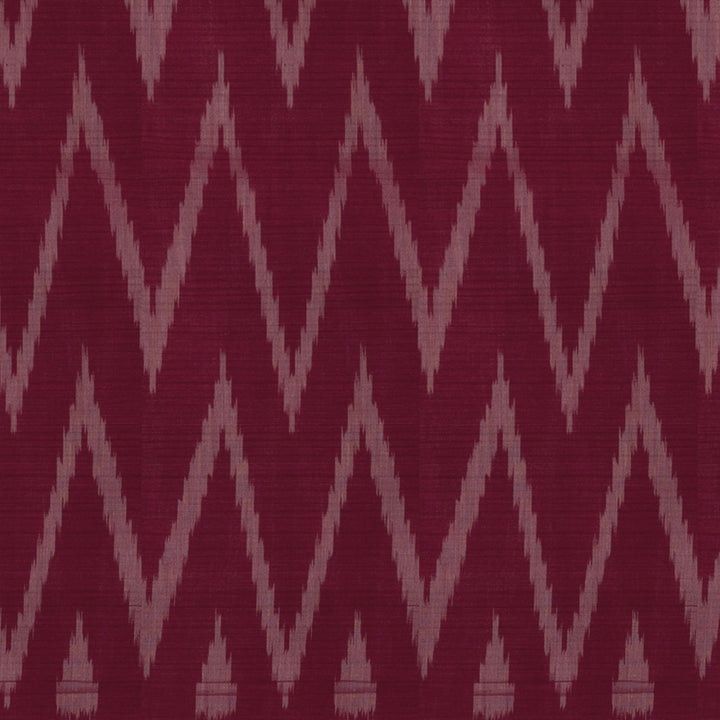 Body design of Handwoven Cotton Ikat Saree