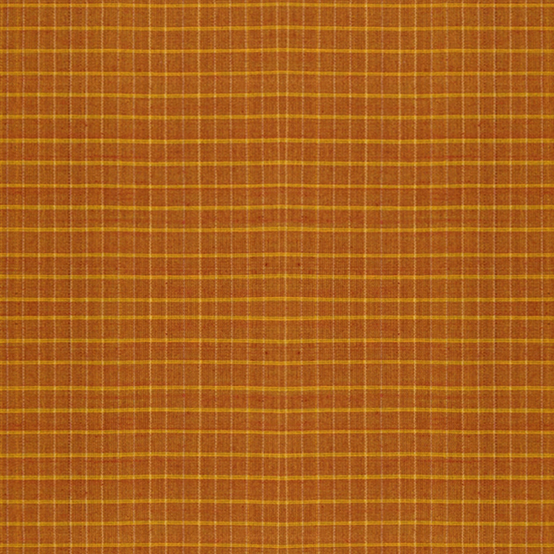 Body Design of handwoven Gadwal Silk Cotton Saree