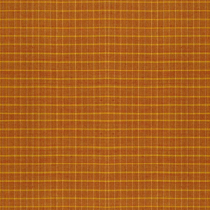 Body Design of handwoven Gadwal Silk Cotton Saree