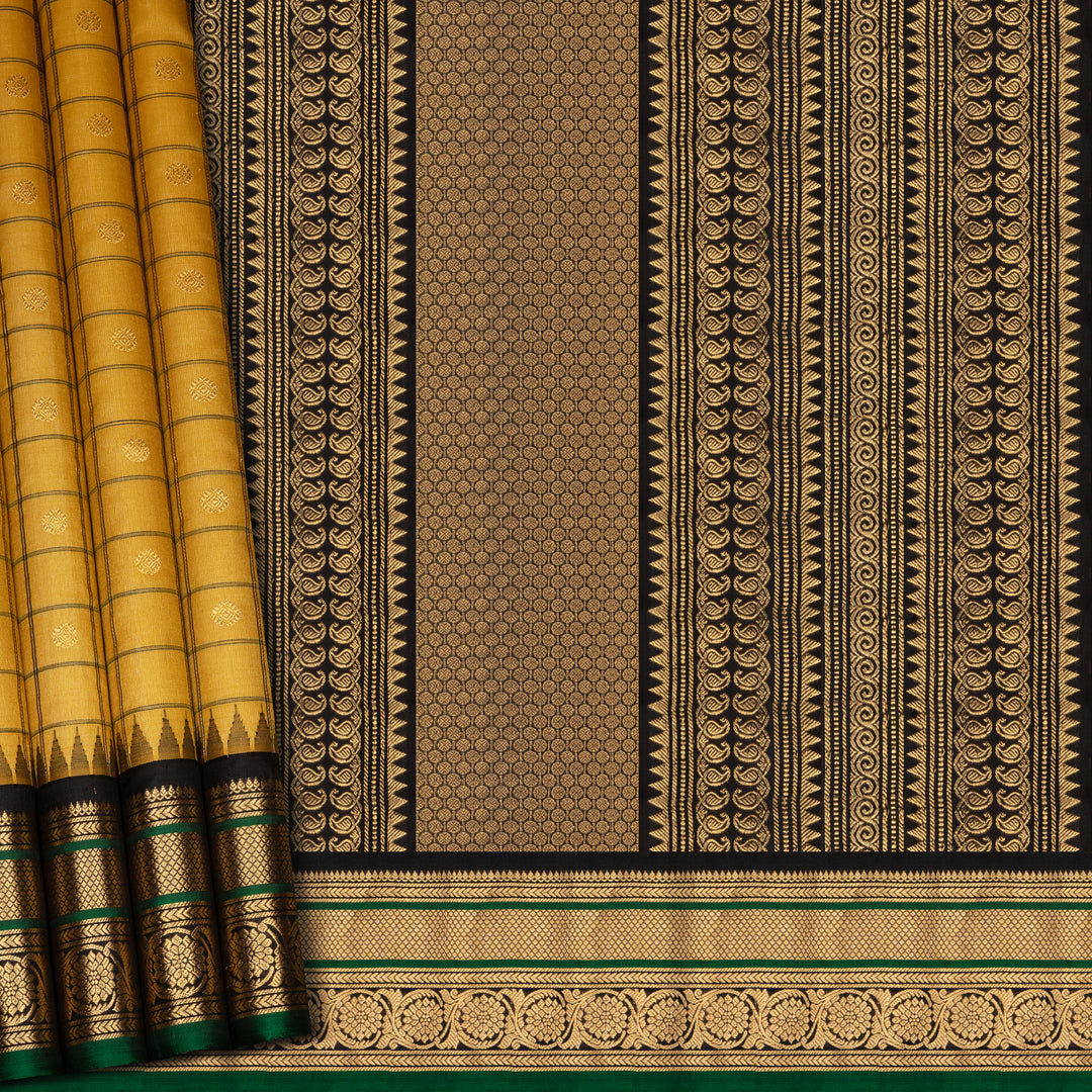 Pleats/body of handwoven Tussar Gadwal Silk Saree