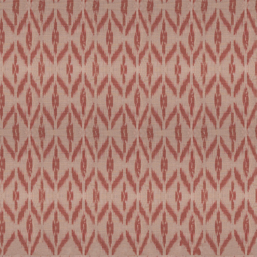 body design of Handwoven Ikat Cotton Saree