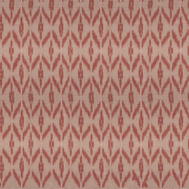 body design of Handwoven Ikat Cotton Saree