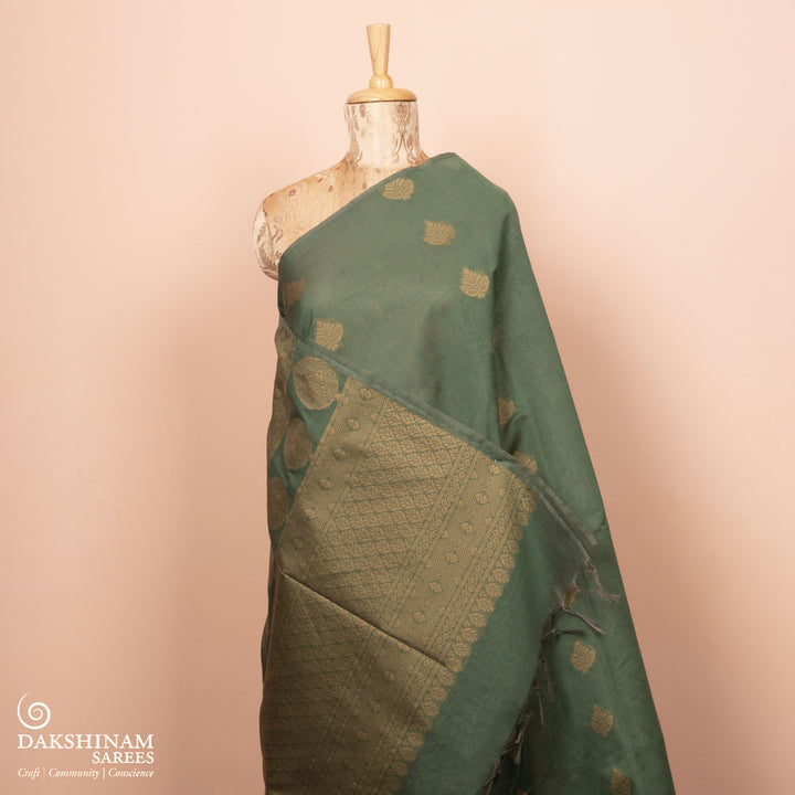Pleats/body of  Handwoven South Cotton Saree