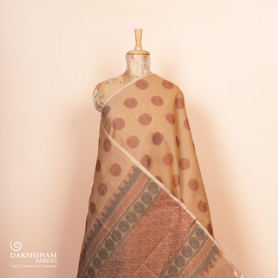 Pleats/body of Handwoven South Cotton Saree