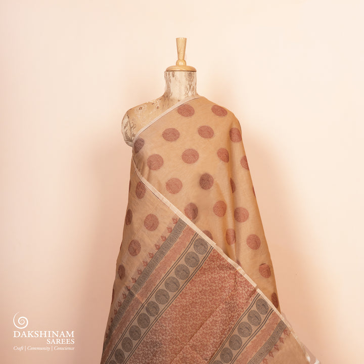 Pleats/body of Handwoven South Cotton Saree