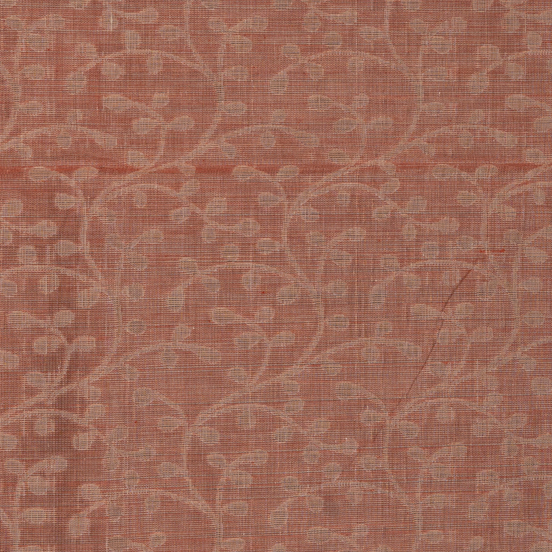 Body closeup of Handwoven South cotton saree floral and leaf vine motifs with delicate dots, stripes, and plant patterns