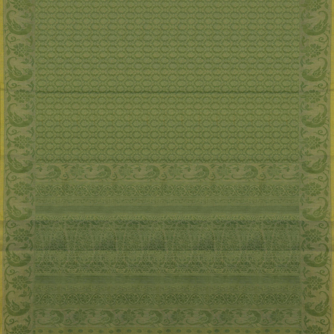 Full body closeup view of a Handwoven green South cotton saree with parrots, floral vines, paisleys.