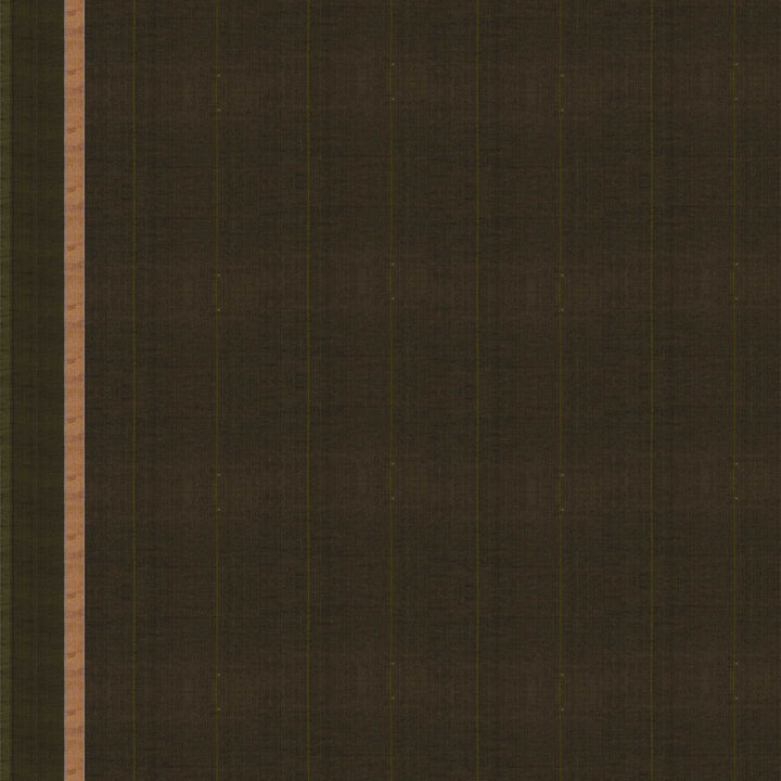 Blouse of  Handwoven  Silk Cotton Saree