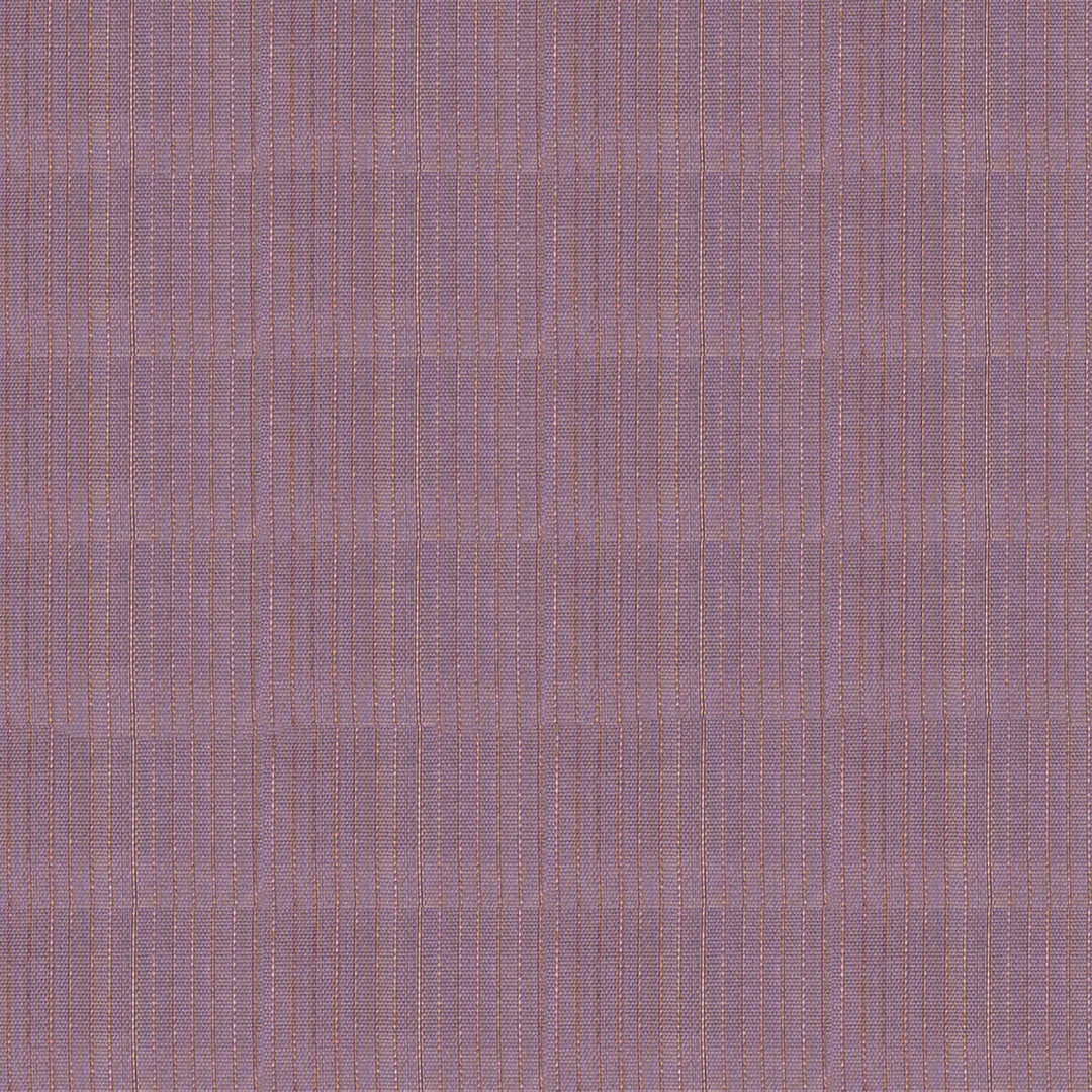 Body design of Handwoven Lavendar borderless Kanjivaram silk Saree