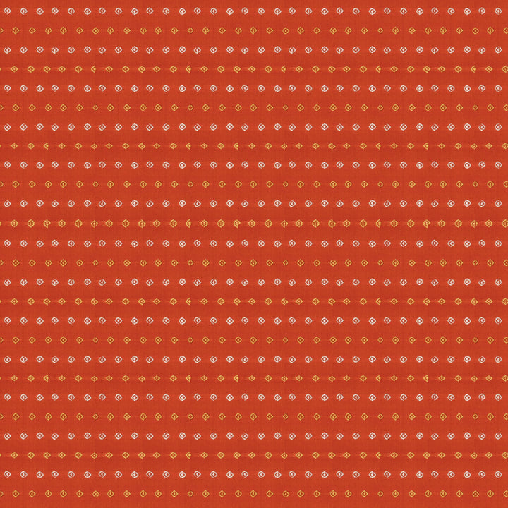 Blouse of Handwoven Orange borderless Ikat Kanjivaram silk Saree