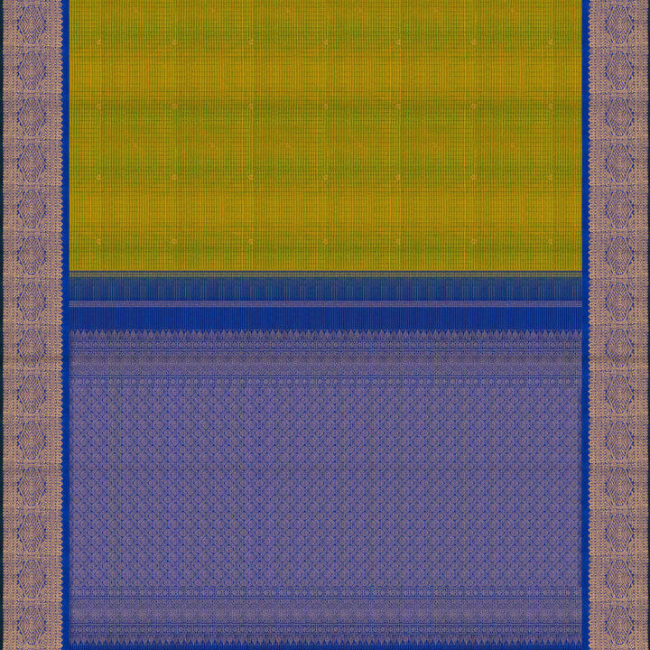 Body pallu Closeup view of a Light green checked Kanjivaram silk saree with royal blue korvai border.