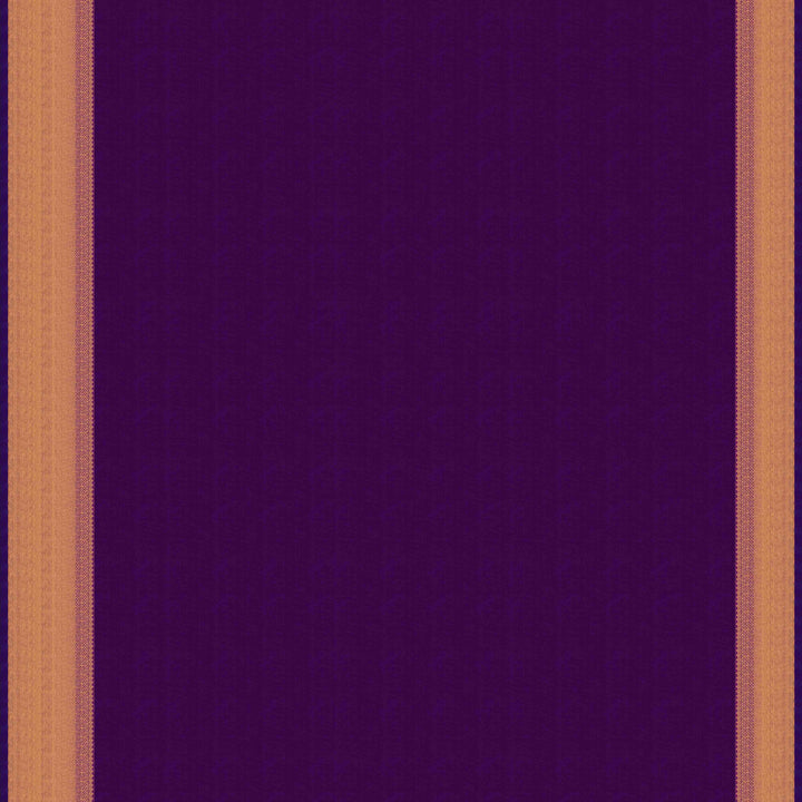 Blouse of  Handwoven Kanjivaram silk Saree