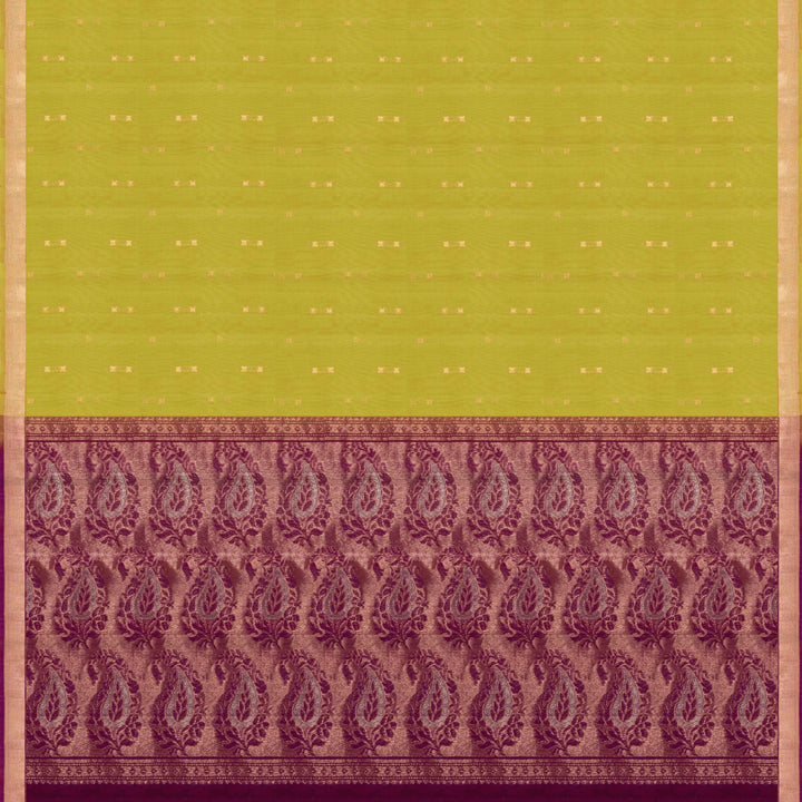 Lime Green Silk Cotton Saree with Purple Border and Gold Zari 3317T015898DSC