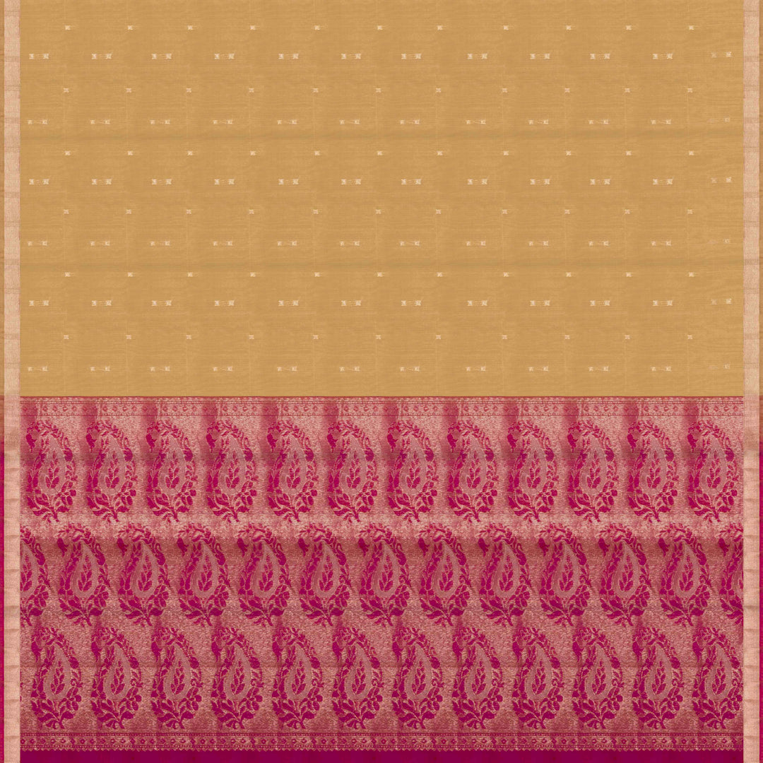 Sandal Silk Cotton Saree with Magenta Pallu and Gold Zari Border 3319T015897DSC