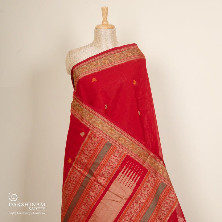 Red Original Handloom Kanchi Cotton Saree with Temple Border 3353T015938DSC