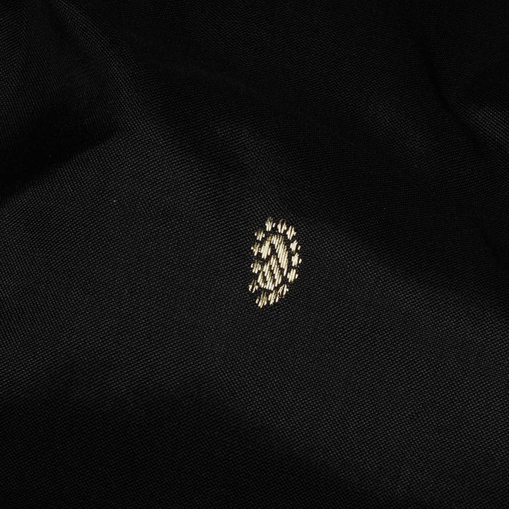 Black silk Paithani saree with mango butta, diamond zari border and bird Paithani pallu with paneled lines and matching blouse