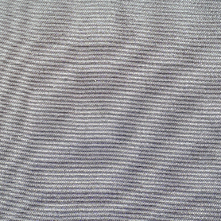 Handwoven Silver Banarasi Fabric - 36T006219DSC