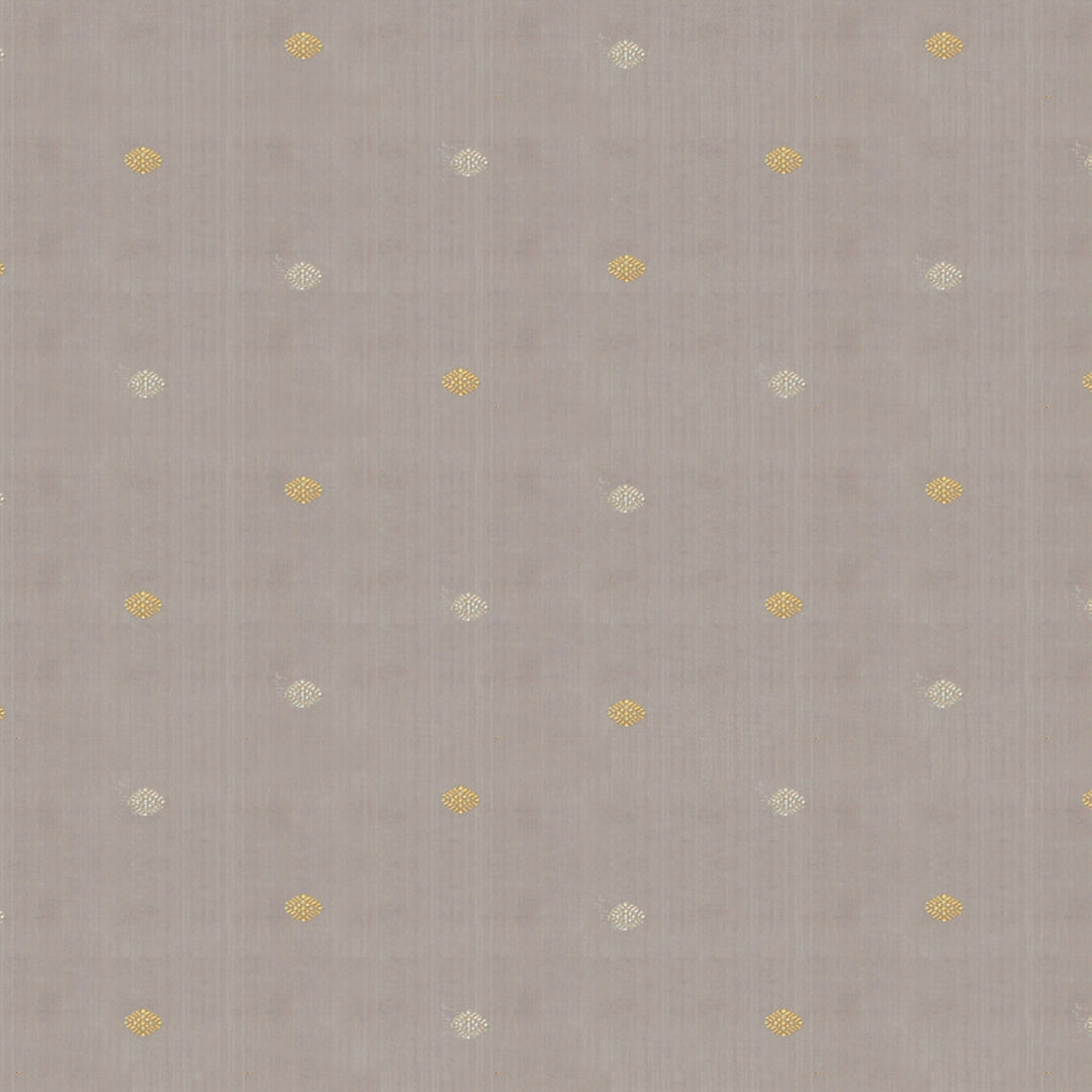 Handwoven Grey Kanjivaram Silk Saree - 1902T005713DSC