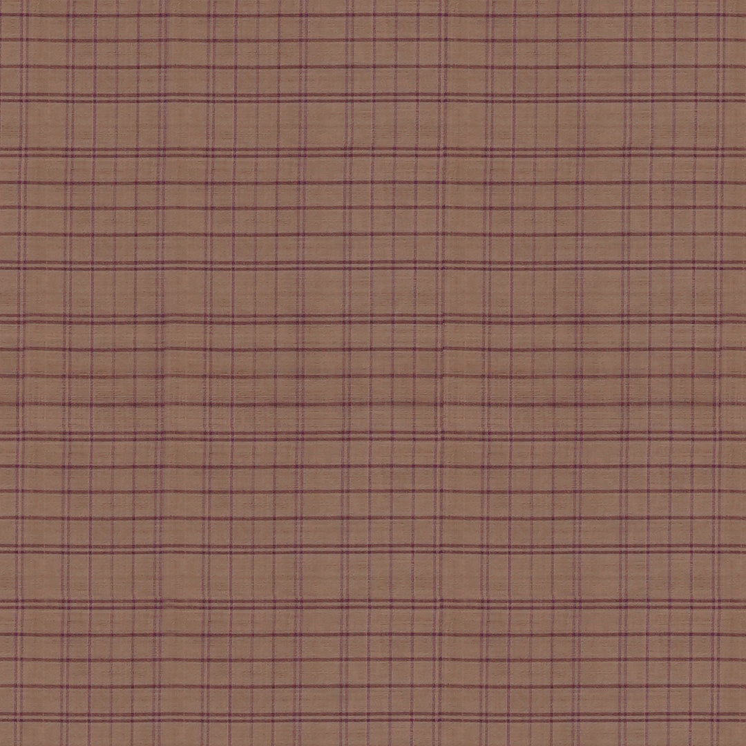 Handwoven Beige with Violet Kanchipuram Silk Cotton Saree - 2180T010890DSC