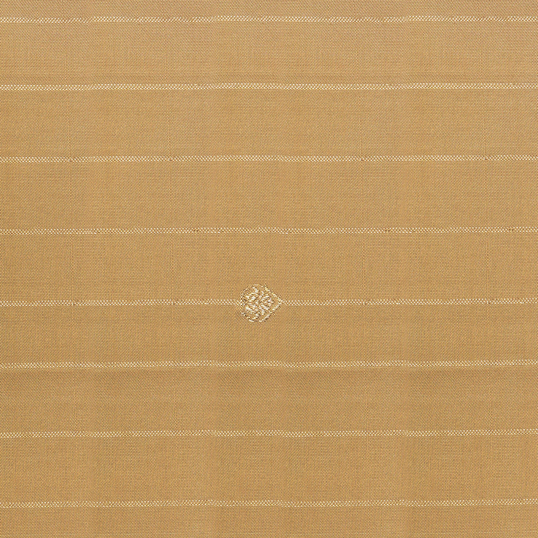 Handwoven Beige Kanjivaram Silk Saree - 2342T011358DSC