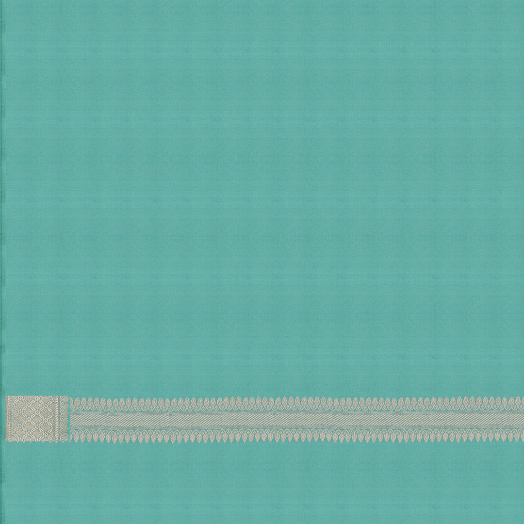 Handwoven Aqua Banarasi Silk Saree - 1671T006231DSC