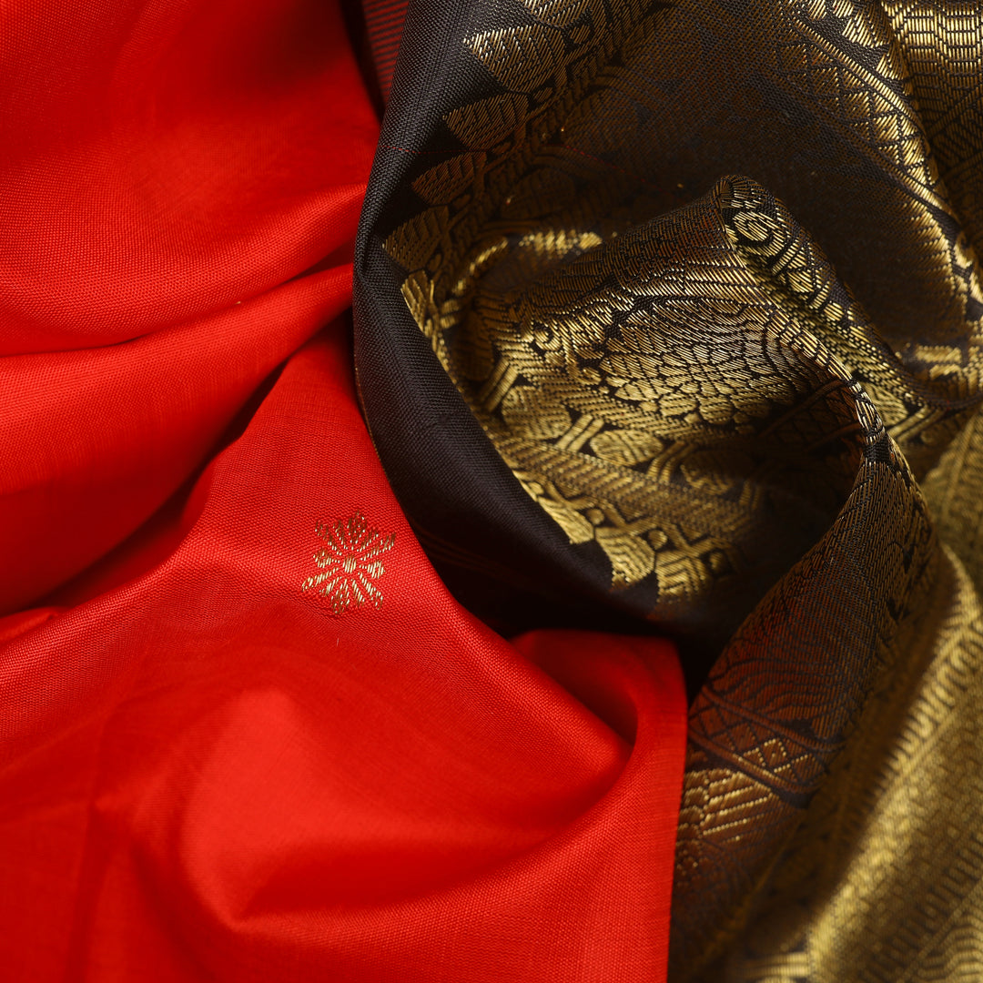 Handwoven Red with Brown and Black Kanjivaram Silk Saree - 1489T005152DSC